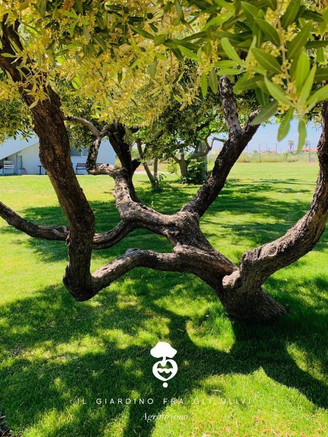 Villa Relais Il Giardino Fra Gli Ulivi à Torino di Sangro Extérieur photo